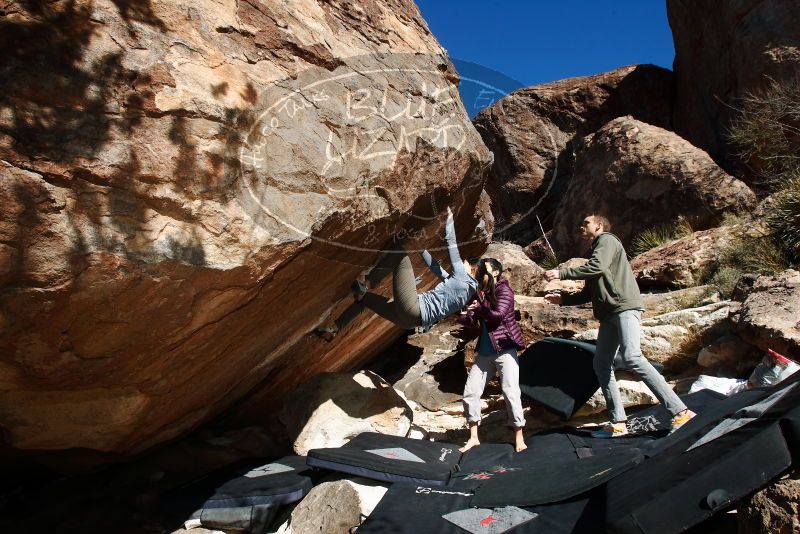 Bouldering in Hueco Tanks on 12/16/2019 with Blue Lizard Climbing and Yoga
Filename: SRM_20191216_1323020.jpg
Aperture: f/8.0
Shutter Speed: 1/250
Body: Canon EOS-1D Mark II
Lens: Canon EF 16-35mm f/2.8 L