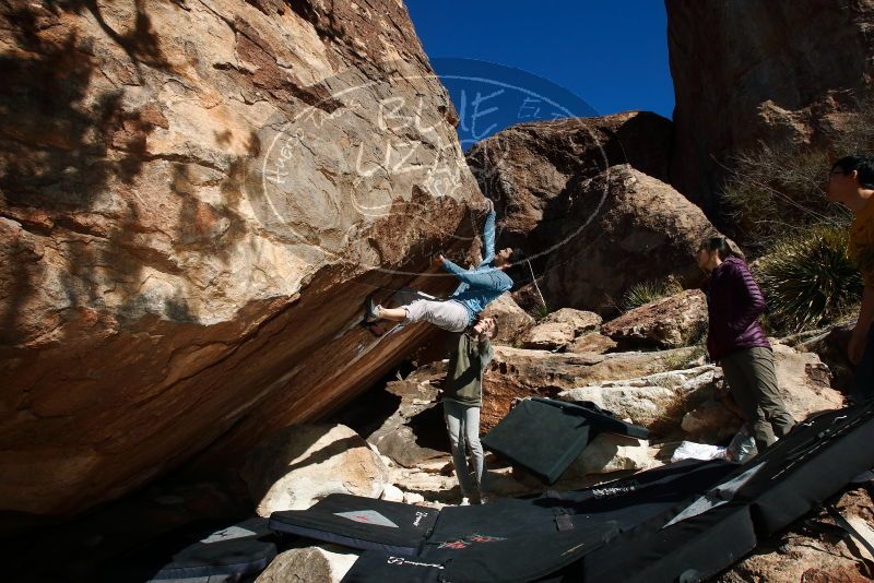 Bouldering in Hueco Tanks on 12/16/2019 with Blue Lizard Climbing and Yoga

Filename: SRM_20191216_1327120.jpg
Aperture: f/9.0
Shutter Speed: 1/250
Body: Canon EOS-1D Mark II
Lens: Canon EF 16-35mm f/2.8 L