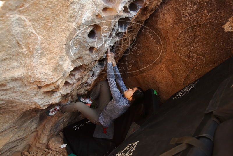 Bouldering in Hueco Tanks on 12/16/2019 with Blue Lizard Climbing and Yoga
Filename: SRM_20191216_1524550.jpg
Aperture: f/3.5
Shutter Speed: 1/250
Body: Canon EOS-1D Mark II
Lens: Canon EF 16-35mm f/2.8 L