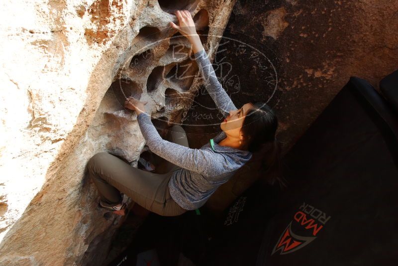 Bouldering in Hueco Tanks on 12/16/2019 with Blue Lizard Climbing and Yoga
Filename: SRM_20191216_1526220.jpg
Aperture: f/8.0
Shutter Speed: 1/250
Body: Canon EOS-1D Mark II
Lens: Canon EF 16-35mm f/2.8 L