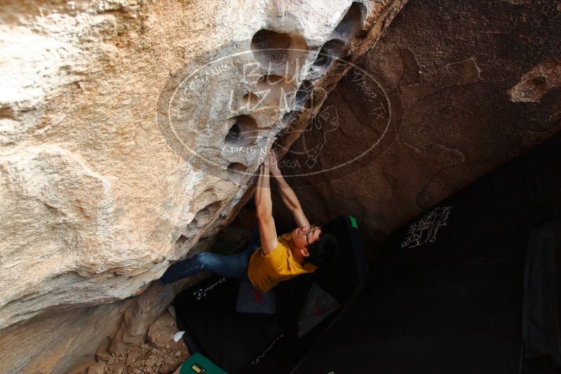Bouldering in Hueco Tanks on 12/16/2019 with Blue Lizard Climbing and Yoga
Filename: SRM_20191216_1530260.jpg
Aperture: f/5.6
Shutter Speed: 1/250
Body: Canon EOS-1D Mark II
Lens: Canon EF 16-35mm f/2.8 L