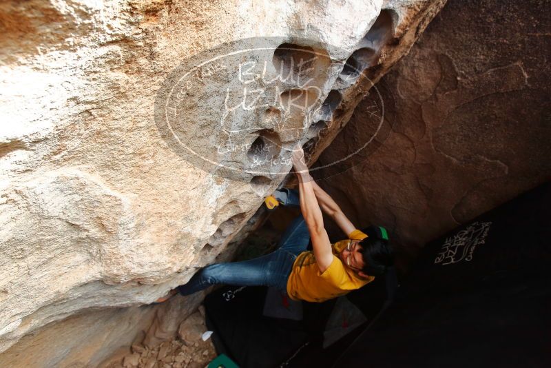 Bouldering in Hueco Tanks on 12/16/2019 with Blue Lizard Climbing and Yoga

Filename: SRM_20191216_1530310.jpg
Aperture: f/5.0
Shutter Speed: 1/250
Body: Canon EOS-1D Mark II
Lens: Canon EF 16-35mm f/2.8 L