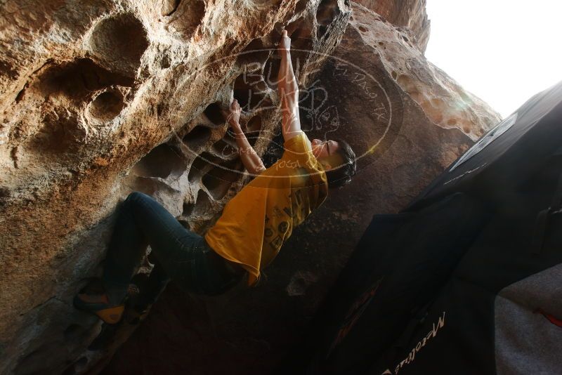 Bouldering in Hueco Tanks on 12/16/2019 with Blue Lizard Climbing and Yoga
Filename: SRM_20191216_1531090.jpg
Aperture: f/11.0
Shutter Speed: 1/250
Body: Canon EOS-1D Mark II
Lens: Canon EF 16-35mm f/2.8 L