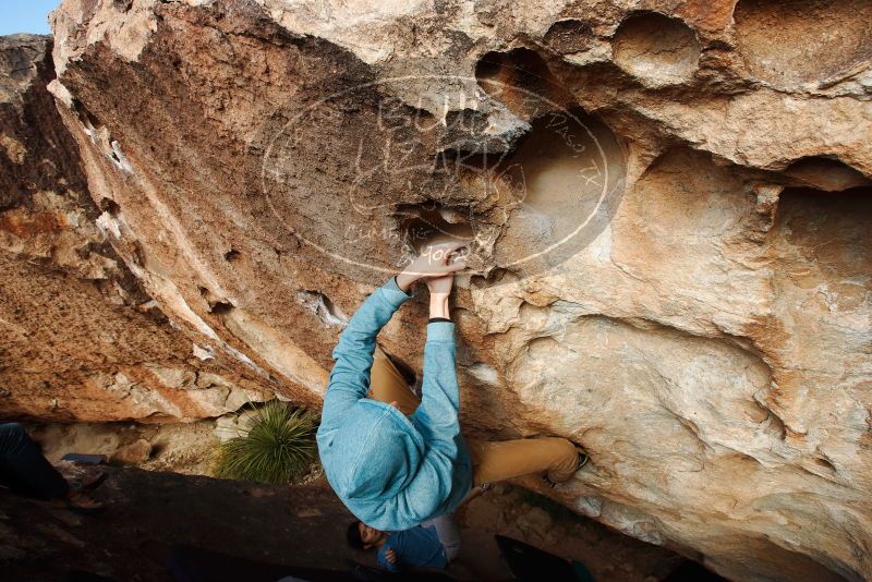 Bouldering in Hueco Tanks on 12/16/2019 with Blue Lizard Climbing and Yoga

Filename: SRM_20191216_1548280.jpg
Aperture: f/8.0
Shutter Speed: 1/250
Body: Canon EOS-1D Mark II
Lens: Canon EF 16-35mm f/2.8 L