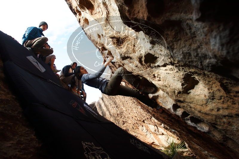 Bouldering in Hueco Tanks on 12/16/2019 with Blue Lizard Climbing and Yoga
Filename: SRM_20191216_1602580.jpg
Aperture: f/5.0
Shutter Speed: 1/500
Body: Canon EOS-1D Mark II
Lens: Canon EF 16-35mm f/2.8 L