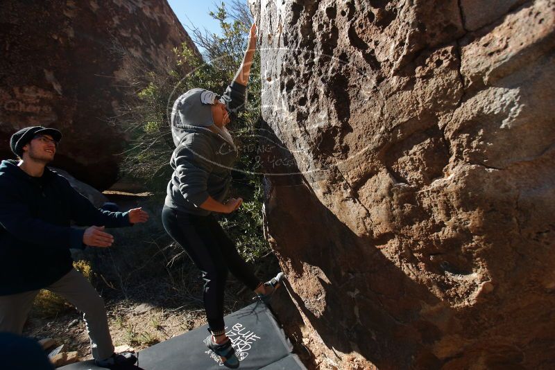 Bouldering in Hueco Tanks on 12/19/2019 with Blue Lizard Climbing and Yoga
Filename: SRM_20191219_1052570.jpg
Aperture: f/4.0
Shutter Speed: 1/500
Body: Canon EOS-1D Mark II
Lens: Canon EF 16-35mm f/2.8 L