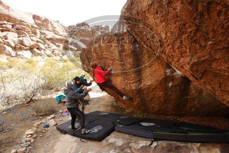 Bouldering in Hueco Tanks on 12/19/2019 with Blue Lizard Climbing and Yoga
Filename: SRM_20191219_1239260.jpg
Aperture: f/6.3
Shutter Speed: 1/250
Body: Canon EOS-1D Mark II
Lens: Canon EF 16-35mm f/2.8 L