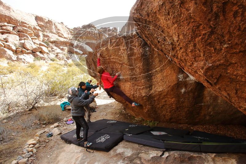 Bouldering in Hueco Tanks on 12/19/2019 with Blue Lizard Climbing and Yoga
Filename: SRM_20191219_1239270.jpg
Aperture: f/7.1
Shutter Speed: 1/250
Body: Canon EOS-1D Mark II
Lens: Canon EF 16-35mm f/2.8 L