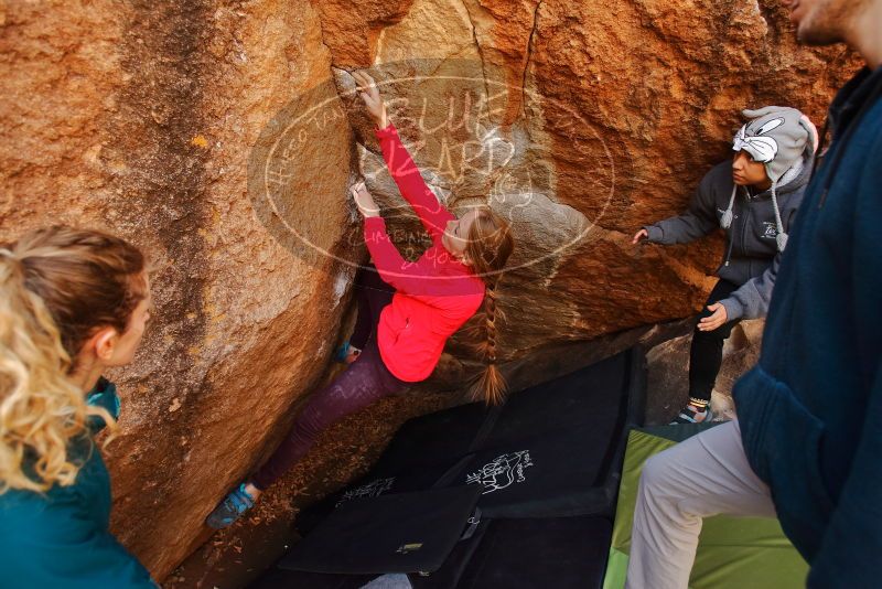 Bouldering in Hueco Tanks on 12/19/2019 with Blue Lizard Climbing and Yoga

Filename: SRM_20191219_1252270.jpg
Aperture: f/4.0
Shutter Speed: 1/250
Body: Canon EOS-1D Mark II
Lens: Canon EF 16-35mm f/2.8 L