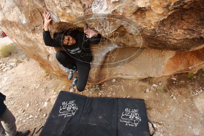 Bouldering in Hueco Tanks on 12/19/2019 with Blue Lizard Climbing and Yoga

Filename: SRM_20191219_1333020.jpg
Aperture: f/4.5
Shutter Speed: 1/250
Body: Canon EOS-1D Mark II
Lens: Canon EF 16-35mm f/2.8 L