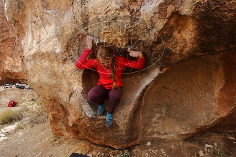 Bouldering in Hueco Tanks on 12/19/2019 with Blue Lizard Climbing and Yoga

Filename: SRM_20191219_1407180.jpg
Aperture: f/5.6
Shutter Speed: 1/250
Body: Canon EOS-1D Mark II
Lens: Canon EF 16-35mm f/2.8 L