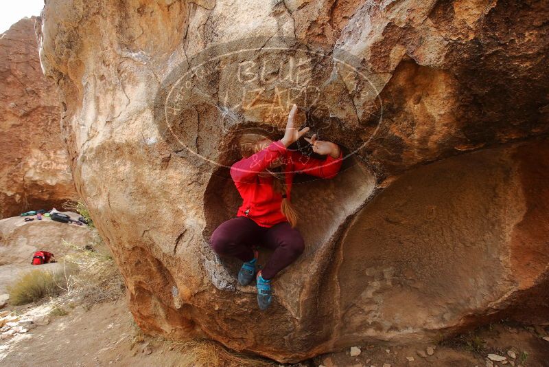 Bouldering in Hueco Tanks on 12/19/2019 with Blue Lizard Climbing and Yoga
Filename: SRM_20191219_1407210.jpg
Aperture: f/6.3
Shutter Speed: 1/250
Body: Canon EOS-1D Mark II
Lens: Canon EF 16-35mm f/2.8 L