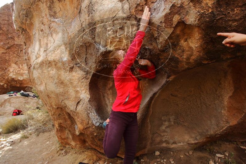 Bouldering in Hueco Tanks on 12/19/2019 with Blue Lizard Climbing and Yoga

Filename: SRM_20191219_1407250.jpg
Aperture: f/6.3
Shutter Speed: 1/250
Body: Canon EOS-1D Mark II
Lens: Canon EF 16-35mm f/2.8 L