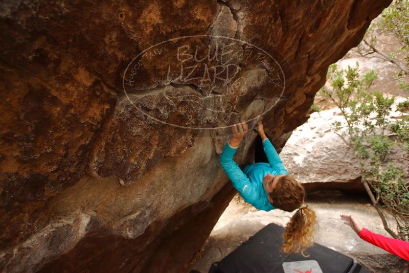 Bouldering in Hueco Tanks on 12/19/2019 with Blue Lizard Climbing and Yoga

Filename: SRM_20191219_1446070.jpg
Aperture: f/4.5
Shutter Speed: 1/200
Body: Canon EOS-1D Mark II
Lens: Canon EF 16-35mm f/2.8 L