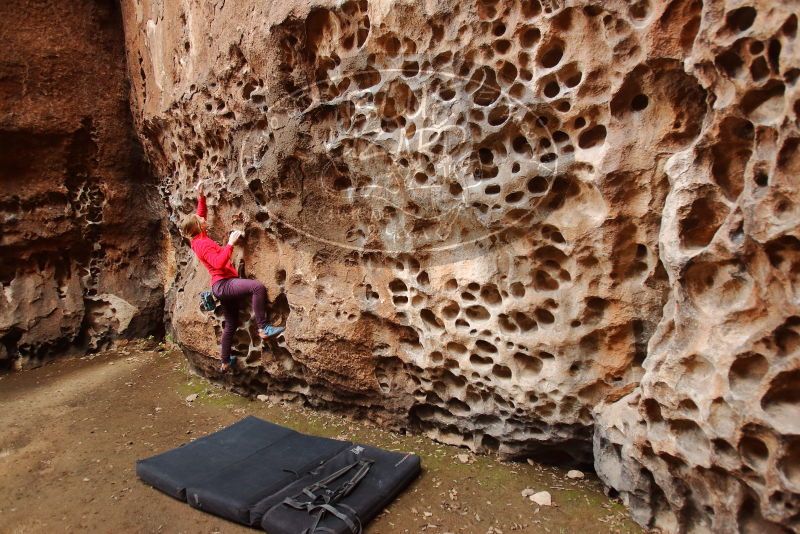 Bouldering in Hueco Tanks on 12/19/2019 with Blue Lizard Climbing and Yoga

Filename: SRM_20191219_1615560.jpg
Aperture: f/3.2
Shutter Speed: 1/100
Body: Canon EOS-1D Mark II
Lens: Canon EF 16-35mm f/2.8 L