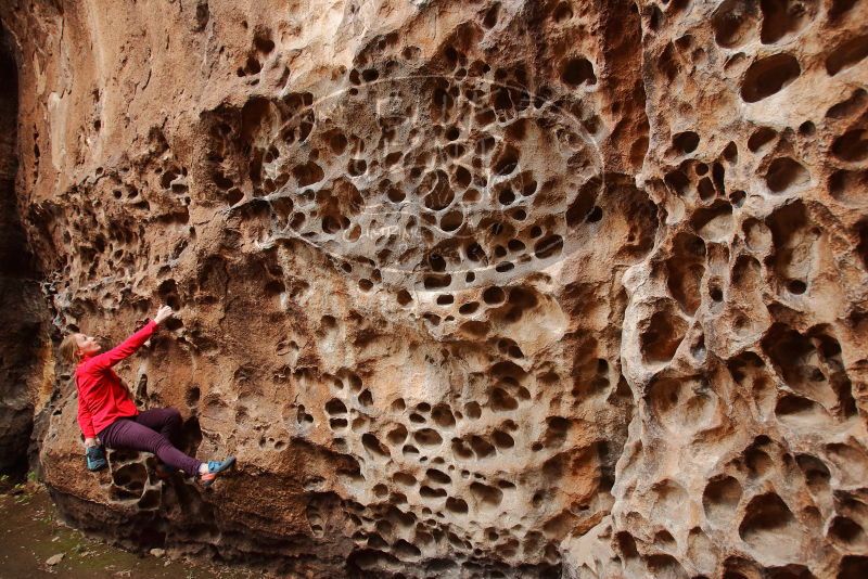 Bouldering in Hueco Tanks on 12/19/2019 with Blue Lizard Climbing and Yoga

Filename: SRM_20191219_1616120.jpg
Aperture: f/3.5
Shutter Speed: 1/100
Body: Canon EOS-1D Mark II
Lens: Canon EF 16-35mm f/2.8 L