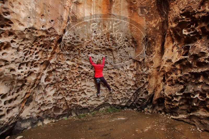 Bouldering in Hueco Tanks on 12/19/2019 with Blue Lizard Climbing and Yoga
Filename: SRM_20191219_1617170.jpg
Aperture: f/4.5
Shutter Speed: 1/100
Body: Canon EOS-1D Mark II
Lens: Canon EF 16-35mm f/2.8 L