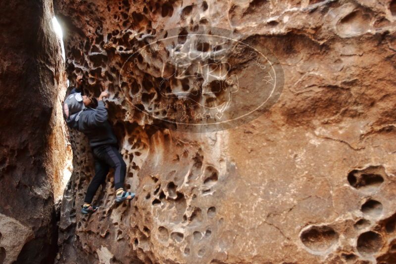 Bouldering in Hueco Tanks on 12/19/2019 with Blue Lizard Climbing and Yoga

Filename: SRM_20191219_1623300.jpg
Aperture: f/2.8
Shutter Speed: 1/100
Body: Canon EOS-1D Mark II
Lens: Canon EF 16-35mm f/2.8 L
