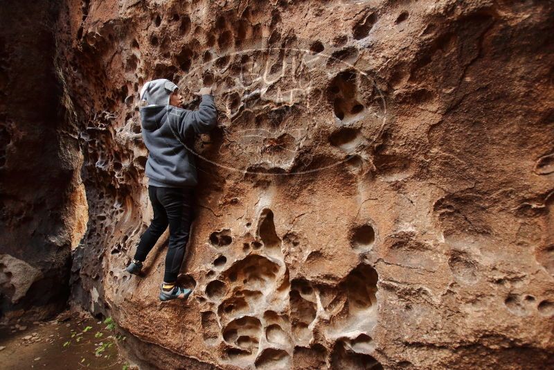 Bouldering in Hueco Tanks on 12/19/2019 with Blue Lizard Climbing and Yoga
Filename: SRM_20191219_1624460.jpg
Aperture: f/3.5
Shutter Speed: 1/100
Body: Canon EOS-1D Mark II
Lens: Canon EF 16-35mm f/2.8 L