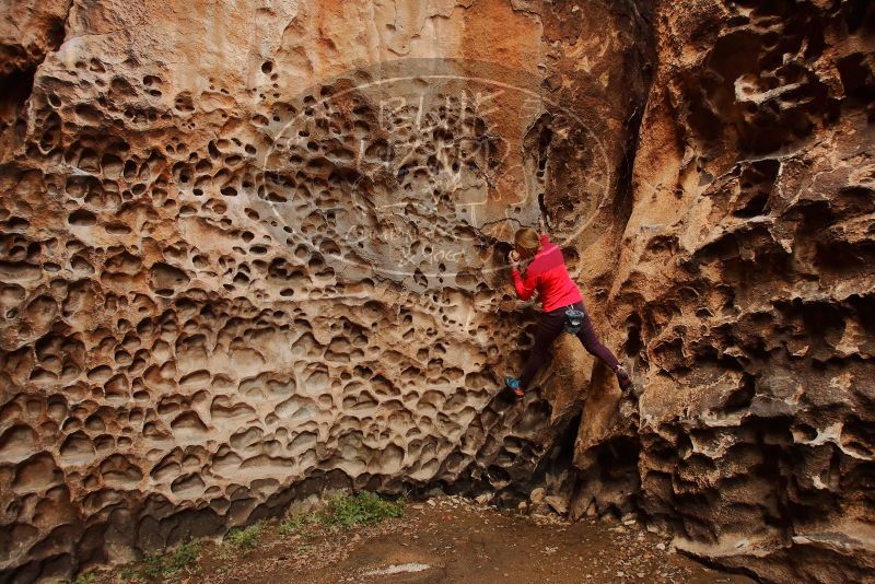 Bouldering in Hueco Tanks on 12/19/2019 with Blue Lizard Climbing and Yoga

Filename: SRM_20191219_1626290.jpg
Aperture: f/5.0
Shutter Speed: 1/100
Body: Canon EOS-1D Mark II
Lens: Canon EF 16-35mm f/2.8 L