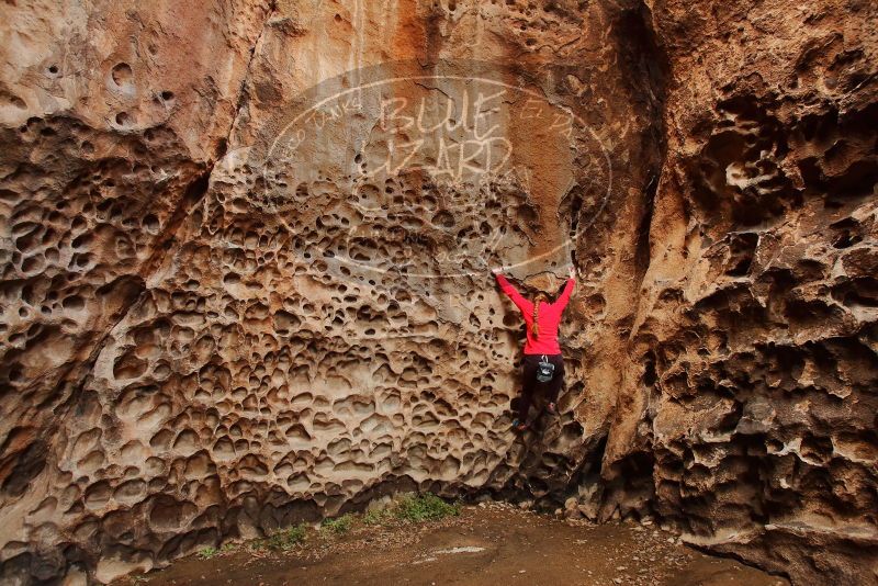 Bouldering in Hueco Tanks on 12/19/2019 with Blue Lizard Climbing and Yoga

Filename: SRM_20191219_1626380.jpg
Aperture: f/5.0
Shutter Speed: 1/100
Body: Canon EOS-1D Mark II
Lens: Canon EF 16-35mm f/2.8 L
