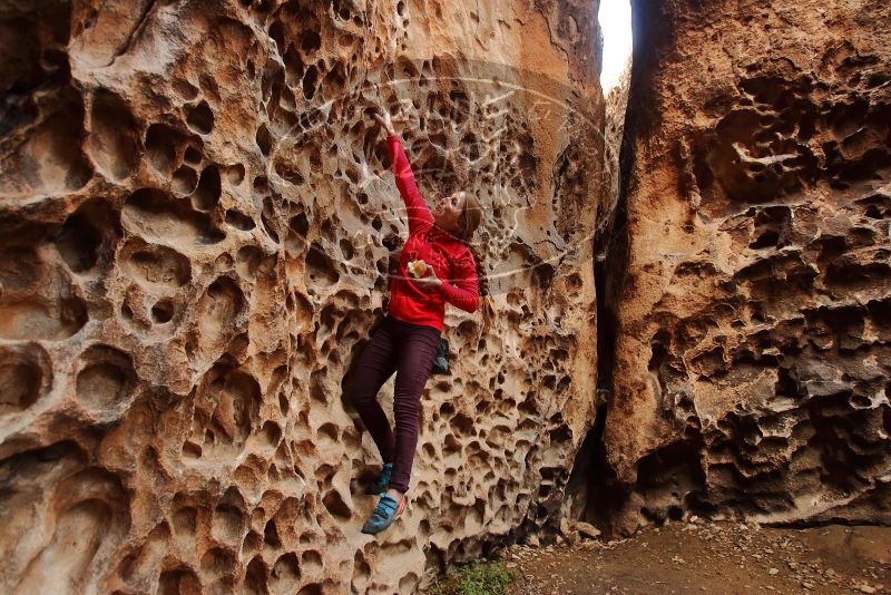 Bouldering in Hueco Tanks on 12/19/2019 with Blue Lizard Climbing and Yoga

Filename: SRM_20191219_1627080.jpg
Aperture: f/4.0
Shutter Speed: 1/125
Body: Canon EOS-1D Mark II
Lens: Canon EF 16-35mm f/2.8 L