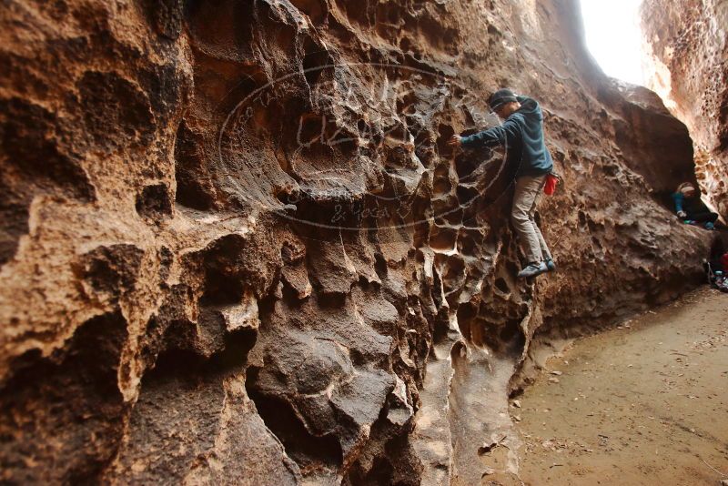 Bouldering in Hueco Tanks on 12/19/2019 with Blue Lizard Climbing and Yoga

Filename: SRM_20191219_1629210.jpg
Aperture: f/3.2
Shutter Speed: 1/100
Body: Canon EOS-1D Mark II
Lens: Canon EF 16-35mm f/2.8 L