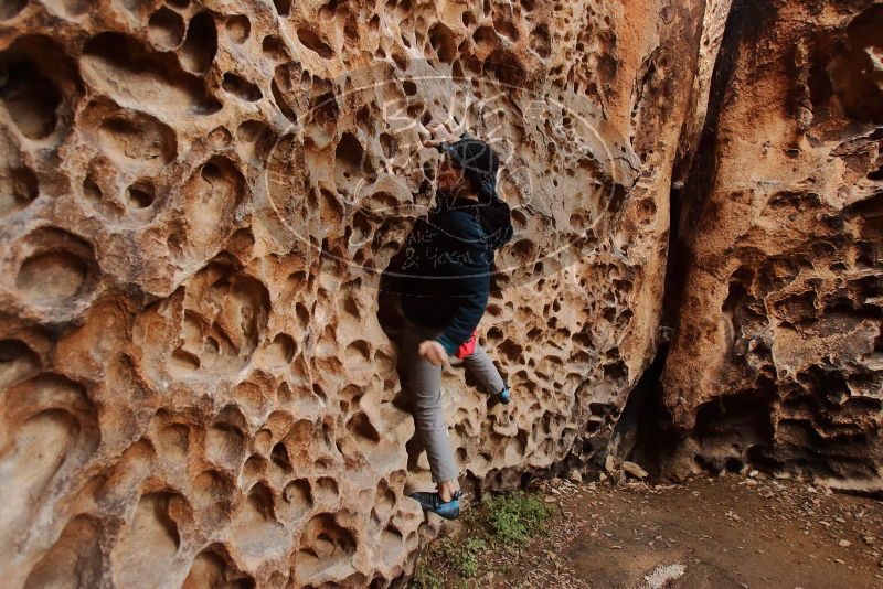 Bouldering in Hueco Tanks on 12/19/2019 with Blue Lizard Climbing and Yoga

Filename: SRM_20191219_1630360.jpg
Aperture: f/3.5
Shutter Speed: 1/100
Body: Canon EOS-1D Mark II
Lens: Canon EF 16-35mm f/2.8 L
