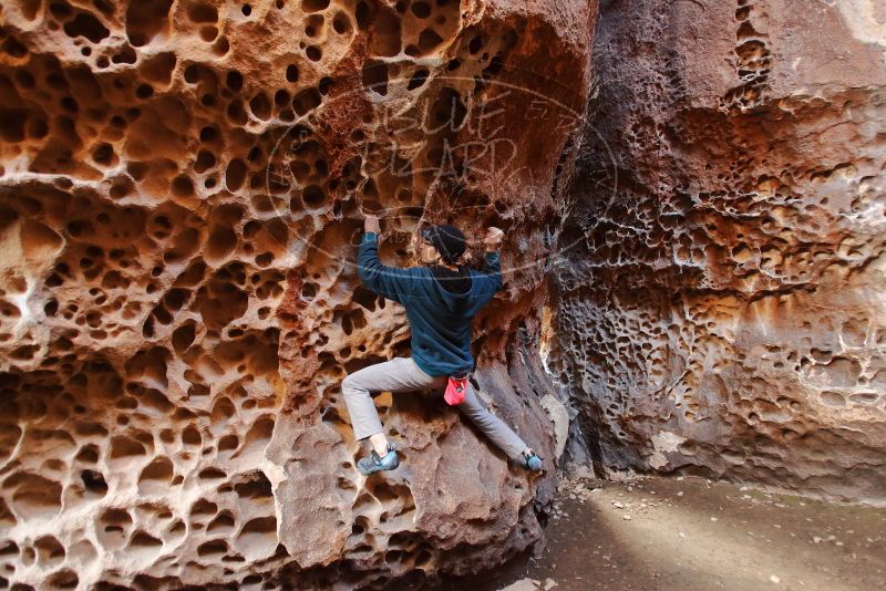 Bouldering in Hueco Tanks on 12/19/2019 with Blue Lizard Climbing and Yoga
Filename: SRM_20191219_1633120.jpg
Aperture: f/2.8
Shutter Speed: 1/40
Body: Canon EOS-1D Mark II
Lens: Canon EF 16-35mm f/2.8 L
