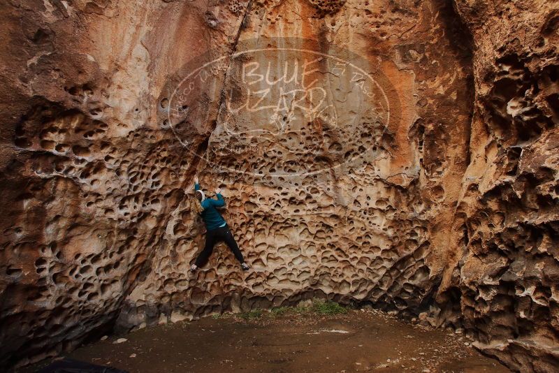 Bouldering in Hueco Tanks on 12/19/2019 with Blue Lizard Climbing and Yoga

Filename: SRM_20191219_1636190.jpg
Aperture: f/4.5
Shutter Speed: 1/100
Body: Canon EOS-1D Mark II
Lens: Canon EF 16-35mm f/2.8 L