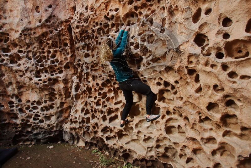 Bouldering in Hueco Tanks on 12/19/2019 with Blue Lizard Climbing and Yoga
Filename: SRM_20191219_1636450.jpg
Aperture: f/4.0
Shutter Speed: 1/100
Body: Canon EOS-1D Mark II
Lens: Canon EF 16-35mm f/2.8 L