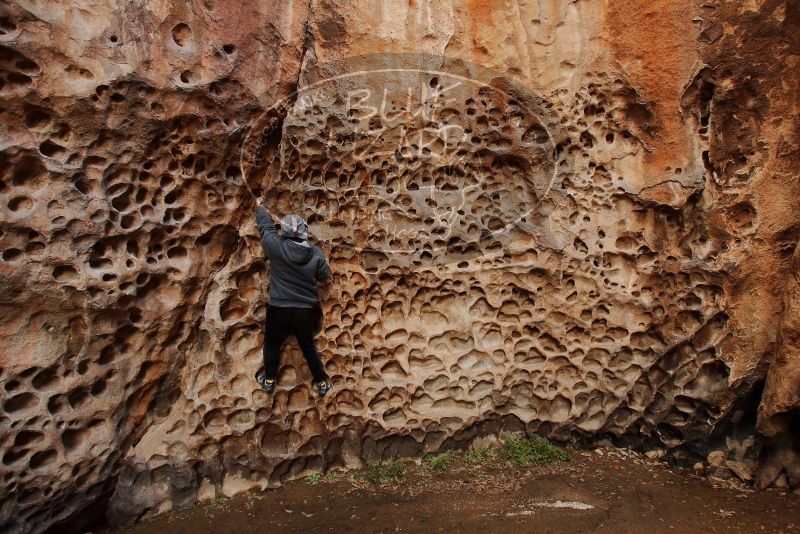 Bouldering in Hueco Tanks on 12/19/2019 with Blue Lizard Climbing and Yoga

Filename: SRM_20191219_1638130.jpg
Aperture: f/4.5
Shutter Speed: 1/100
Body: Canon EOS-1D Mark II
Lens: Canon EF 16-35mm f/2.8 L