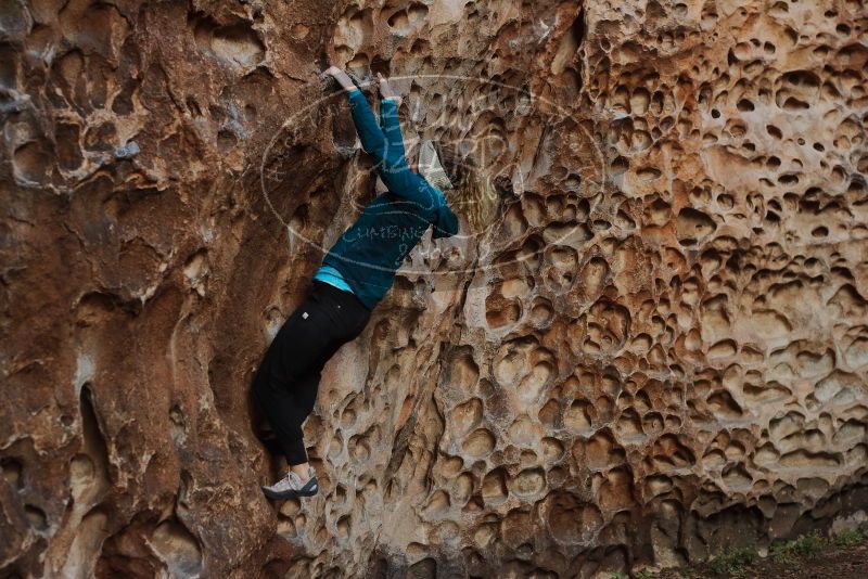 Bouldering in Hueco Tanks on 12/19/2019 with Blue Lizard Climbing and Yoga
Filename: SRM_20191219_1646190.jpg
Aperture: f/4.0
Shutter Speed: 1/100
Body: Canon EOS-1D Mark II
Lens: Canon EF 50mm f/1.8 II