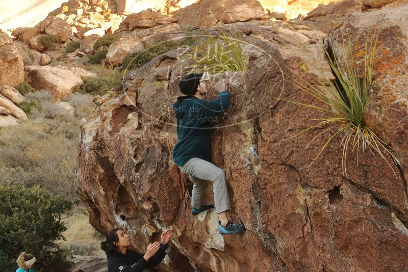Bouldering in Hueco Tanks on 12/19/2019 with Blue Lizard Climbing and Yoga
Filename: SRM_20191219_1749410.jpg
Aperture: f/3.5
Shutter Speed: 1/320
Body: Canon EOS-1D Mark II
Lens: Canon EF 50mm f/1.8 II