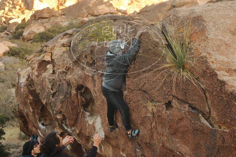 Bouldering in Hueco Tanks on 12/19/2019 with Blue Lizard Climbing and Yoga

Filename: SRM_20191219_1753140.jpg
Aperture: f/4.0
Shutter Speed: 1/250
Body: Canon EOS-1D Mark II
Lens: Canon EF 50mm f/1.8 II