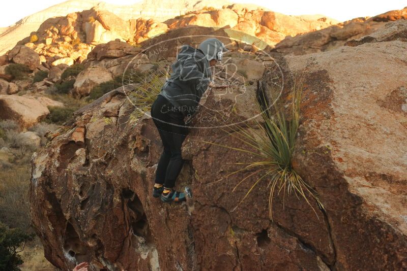 Bouldering in Hueco Tanks on 12/19/2019 with Blue Lizard Climbing and Yoga

Filename: SRM_20191219_1753330.jpg
Aperture: f/5.0
Shutter Speed: 1/250
Body: Canon EOS-1D Mark II
Lens: Canon EF 50mm f/1.8 II