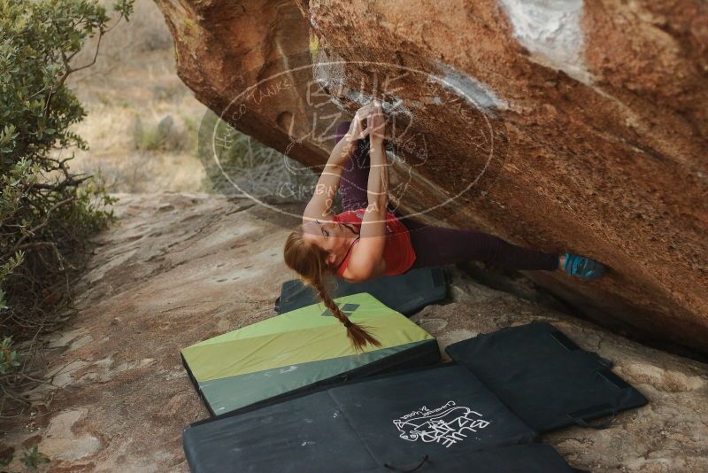 Bouldering in Hueco Tanks on 12/19/2019 with Blue Lizard Climbing and Yoga
Filename: SRM_20191219_1759280.jpg
Aperture: f/2.8
Shutter Speed: 1/250
Body: Canon EOS-1D Mark II
Lens: Canon EF 50mm f/1.8 II