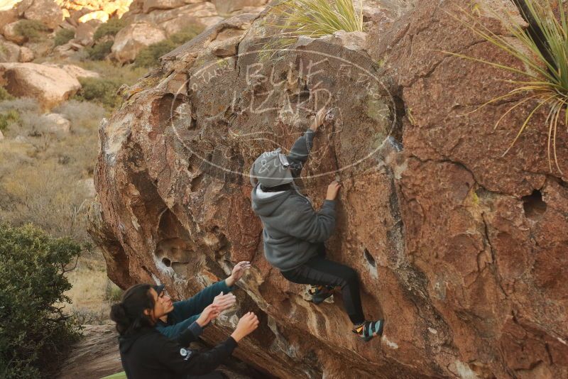 Bouldering in Hueco Tanks on 12/19/2019 with Blue Lizard Climbing and Yoga

Filename: SRM_20191219_1800290.jpg
Aperture: f/3.5
Shutter Speed: 1/250
Body: Canon EOS-1D Mark II
Lens: Canon EF 50mm f/1.8 II