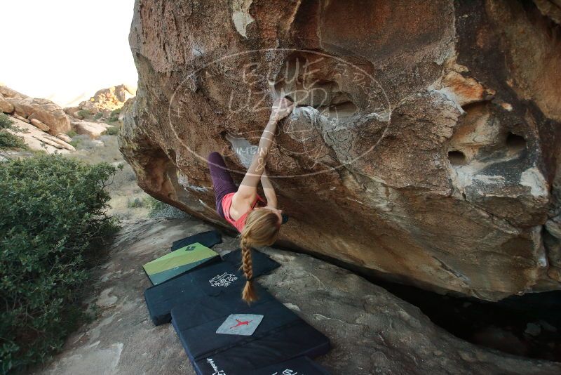 Bouldering in Hueco Tanks on 12/19/2019 with Blue Lizard Climbing and Yoga
Filename: SRM_20191219_1802050.jpg
Aperture: f/3.5
Shutter Speed: 1/250
Body: Canon EOS-1D Mark II
Lens: Canon EF 16-35mm f/2.8 L
