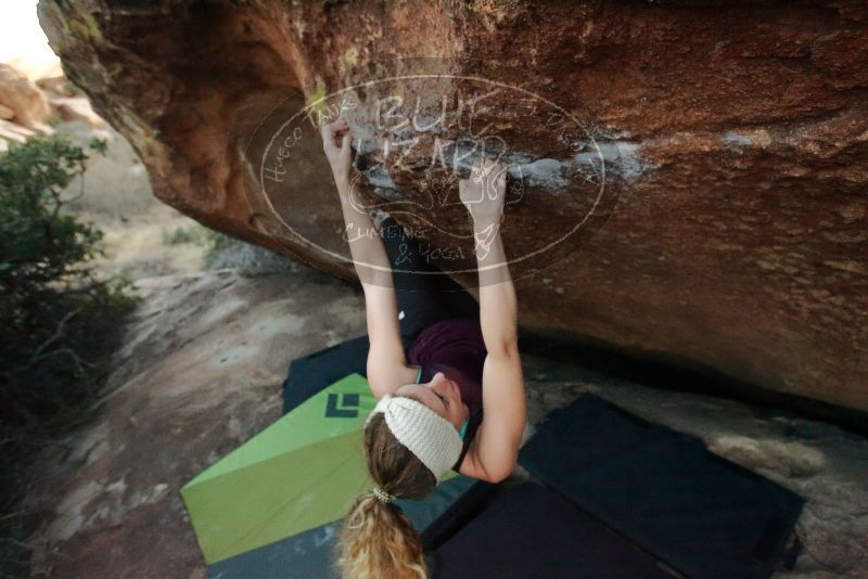 Bouldering in Hueco Tanks on 12/19/2019 with Blue Lizard Climbing and Yoga

Filename: SRM_20191219_1806490.jpg
Aperture: f/4.5
Shutter Speed: 1/250
Body: Canon EOS-1D Mark II
Lens: Canon EF 16-35mm f/2.8 L