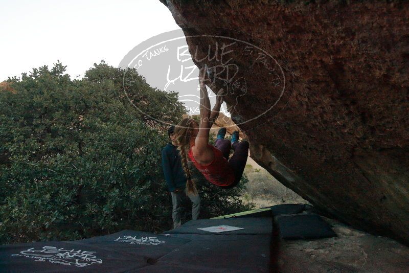 Bouldering in Hueco Tanks on 12/19/2019 with Blue Lizard Climbing and Yoga

Filename: SRM_20191219_1809460.jpg
Aperture: f/6.3
Shutter Speed: 1/250
Body: Canon EOS-1D Mark II
Lens: Canon EF 16-35mm f/2.8 L