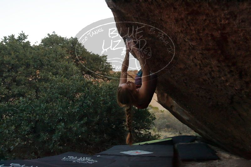 Bouldering in Hueco Tanks on 12/19/2019 with Blue Lizard Climbing and Yoga

Filename: SRM_20191219_1810140.jpg
Aperture: f/4.5
Shutter Speed: 1/250
Body: Canon EOS-1D Mark II
Lens: Canon EF 16-35mm f/2.8 L