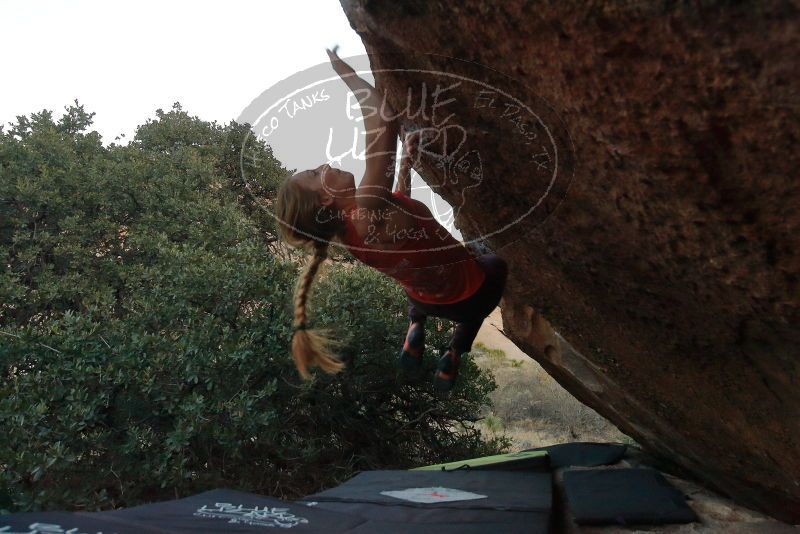 Bouldering in Hueco Tanks on 12/19/2019 with Blue Lizard Climbing and Yoga

Filename: SRM_20191219_1810160.jpg
Aperture: f/4.0
Shutter Speed: 1/250
Body: Canon EOS-1D Mark II
Lens: Canon EF 16-35mm f/2.8 L