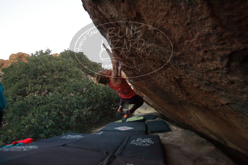 Bouldering in Hueco Tanks on 12/19/2019 with Blue Lizard Climbing and Yoga
Filename: SRM_20191219_1812150.jpg
Aperture: f/3.2
Shutter Speed: 1/250
Body: Canon EOS-1D Mark II
Lens: Canon EF 16-35mm f/2.8 L