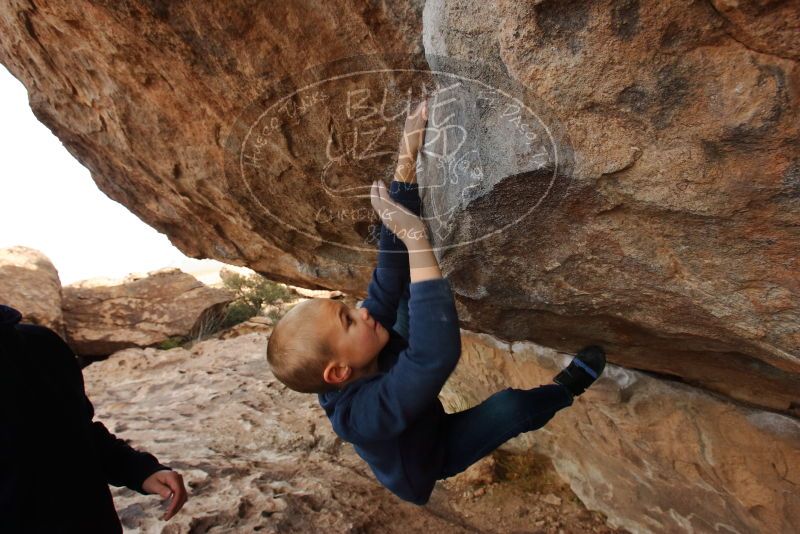 Bouldering in Hueco Tanks on 12/23/2019 with Blue Lizard Climbing and Yoga
Filename: SRM_20191223_1000030.jpg
Aperture: f/6.3
Shutter Speed: 1/250
Body: Canon EOS-1D Mark II
Lens: Canon EF 16-35mm f/2.8 L