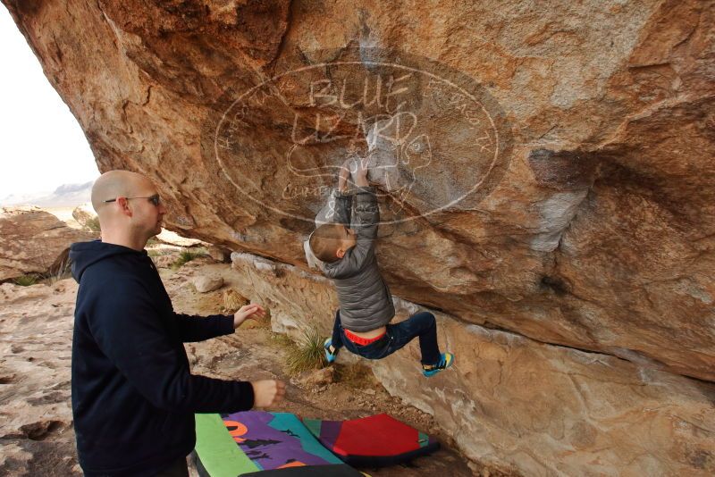 Bouldering in Hueco Tanks on 12/23/2019 with Blue Lizard Climbing and Yoga

Filename: SRM_20191223_1004000.jpg
Aperture: f/6.3
Shutter Speed: 1/250
Body: Canon EOS-1D Mark II
Lens: Canon EF 16-35mm f/2.8 L