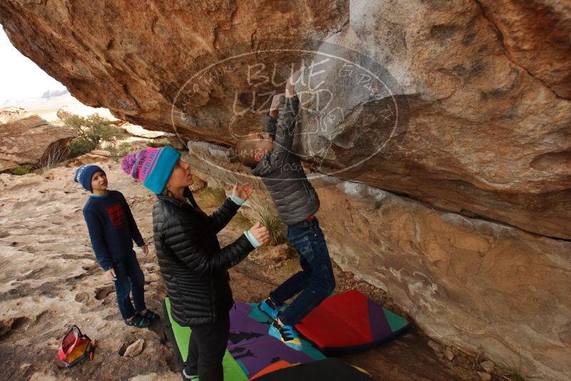 Bouldering in Hueco Tanks on 12/23/2019 with Blue Lizard Climbing and Yoga
Filename: SRM_20191223_1012350.jpg
Aperture: f/5.0
Shutter Speed: 1/500
Body: Canon EOS-1D Mark II
Lens: Canon EF 16-35mm f/2.8 L