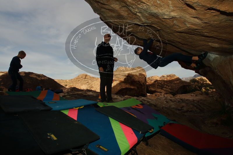Bouldering in Hueco Tanks on 12/23/2019 with Blue Lizard Climbing and Yoga
Filename: SRM_20191223_1017180.jpg
Aperture: f/9.0
Shutter Speed: 1/250
Body: Canon EOS-1D Mark II
Lens: Canon EF 16-35mm f/2.8 L