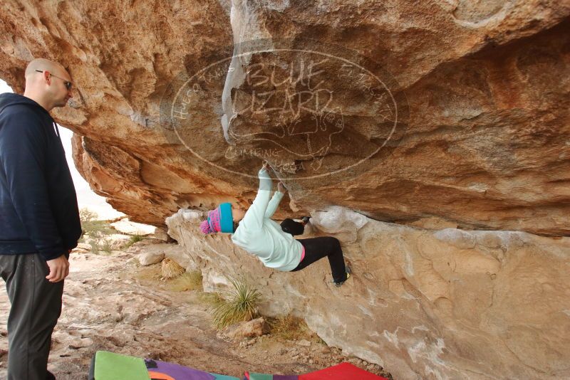 Bouldering in Hueco Tanks on 12/23/2019 with Blue Lizard Climbing and Yoga
Filename: SRM_20191223_1025140.jpg
Aperture: f/5.0
Shutter Speed: 1/250
Body: Canon EOS-1D Mark II
Lens: Canon EF 16-35mm f/2.8 L