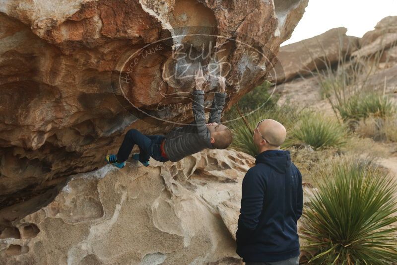 Bouldering in Hueco Tanks on 12/23/2019 with Blue Lizard Climbing and Yoga

Filename: SRM_20191223_1044560.jpg
Aperture: f/4.0
Shutter Speed: 1/500
Body: Canon EOS-1D Mark II
Lens: Canon EF 50mm f/1.8 II
